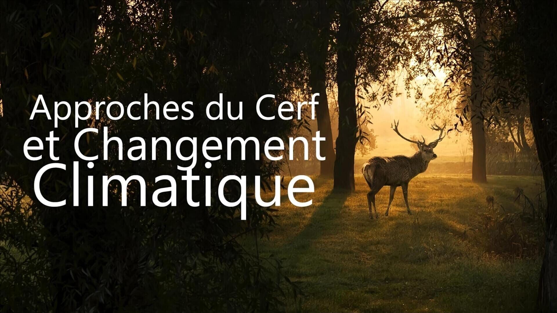 Approches du cerf et changement climatique