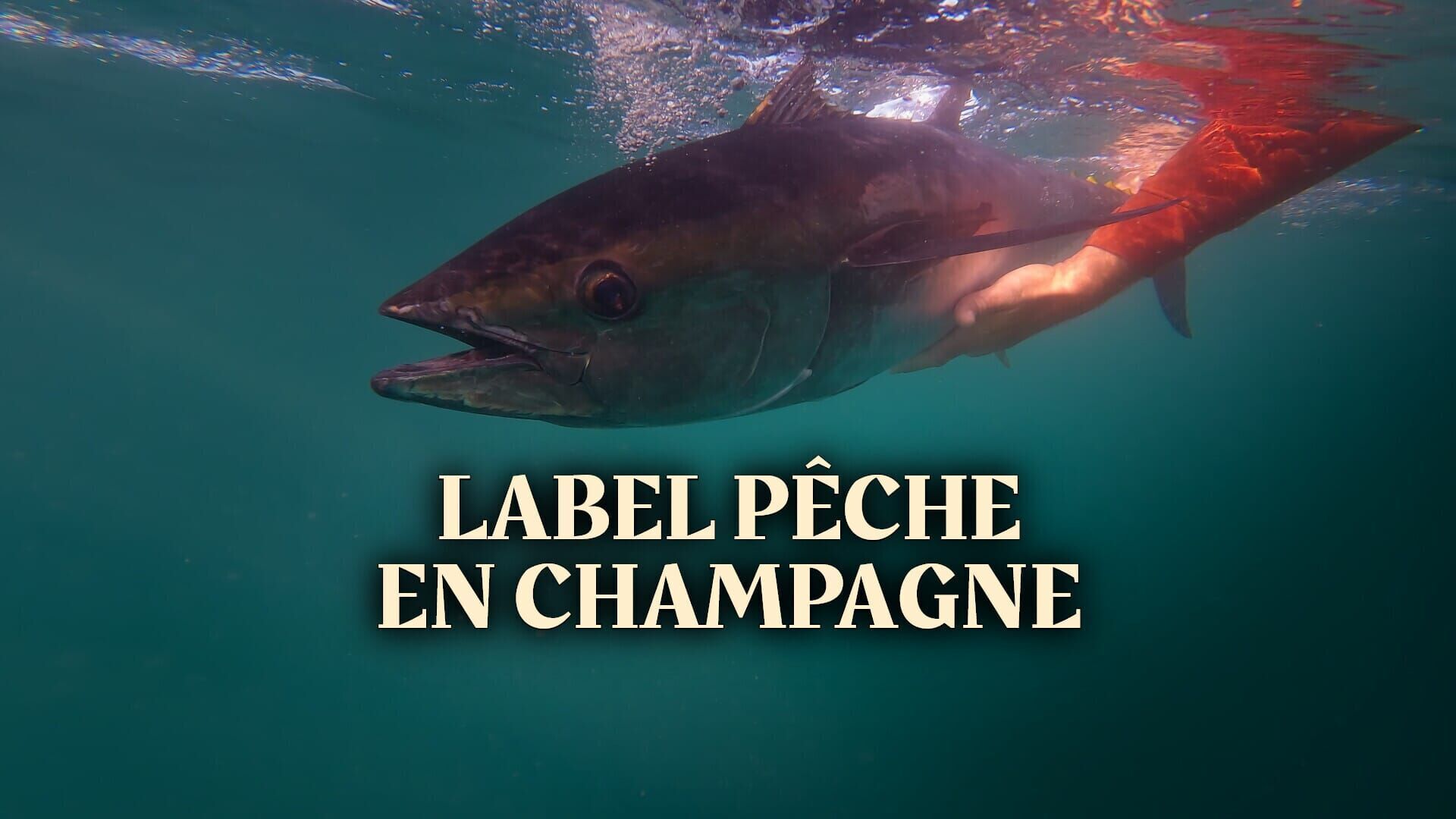 Label Pêche en Champagne