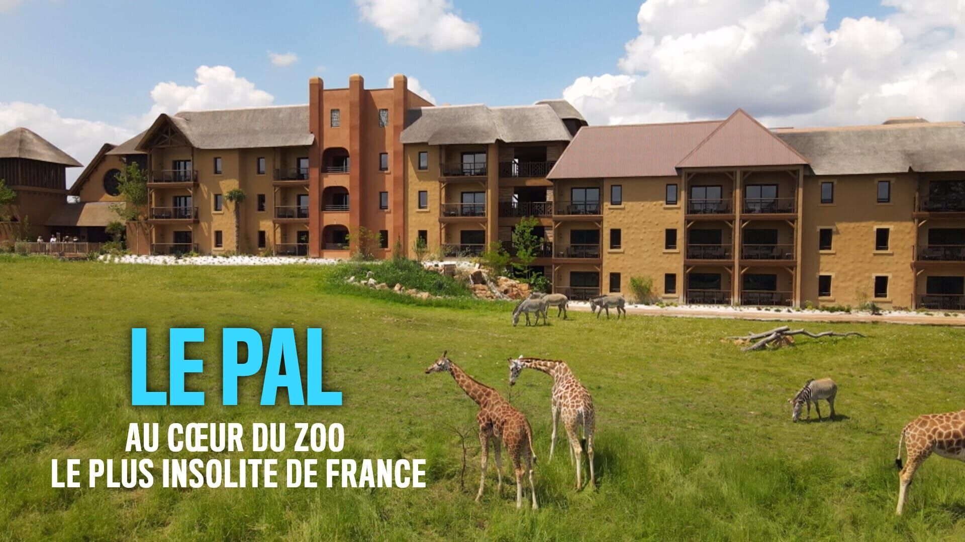 Le PAL : au coeur du zoo le plus insolite de France