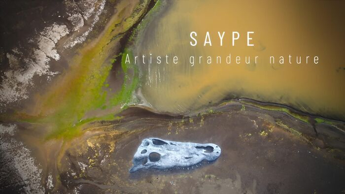 Saype, artiste grandeur nature