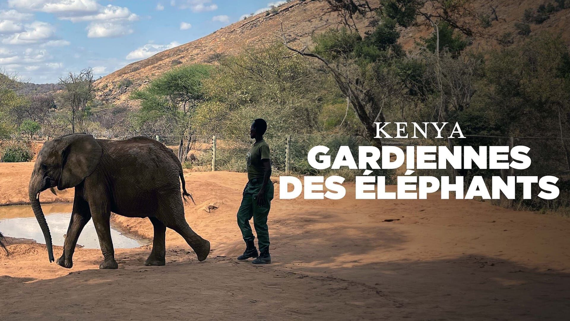 Kenya, gardiennes des éléphants