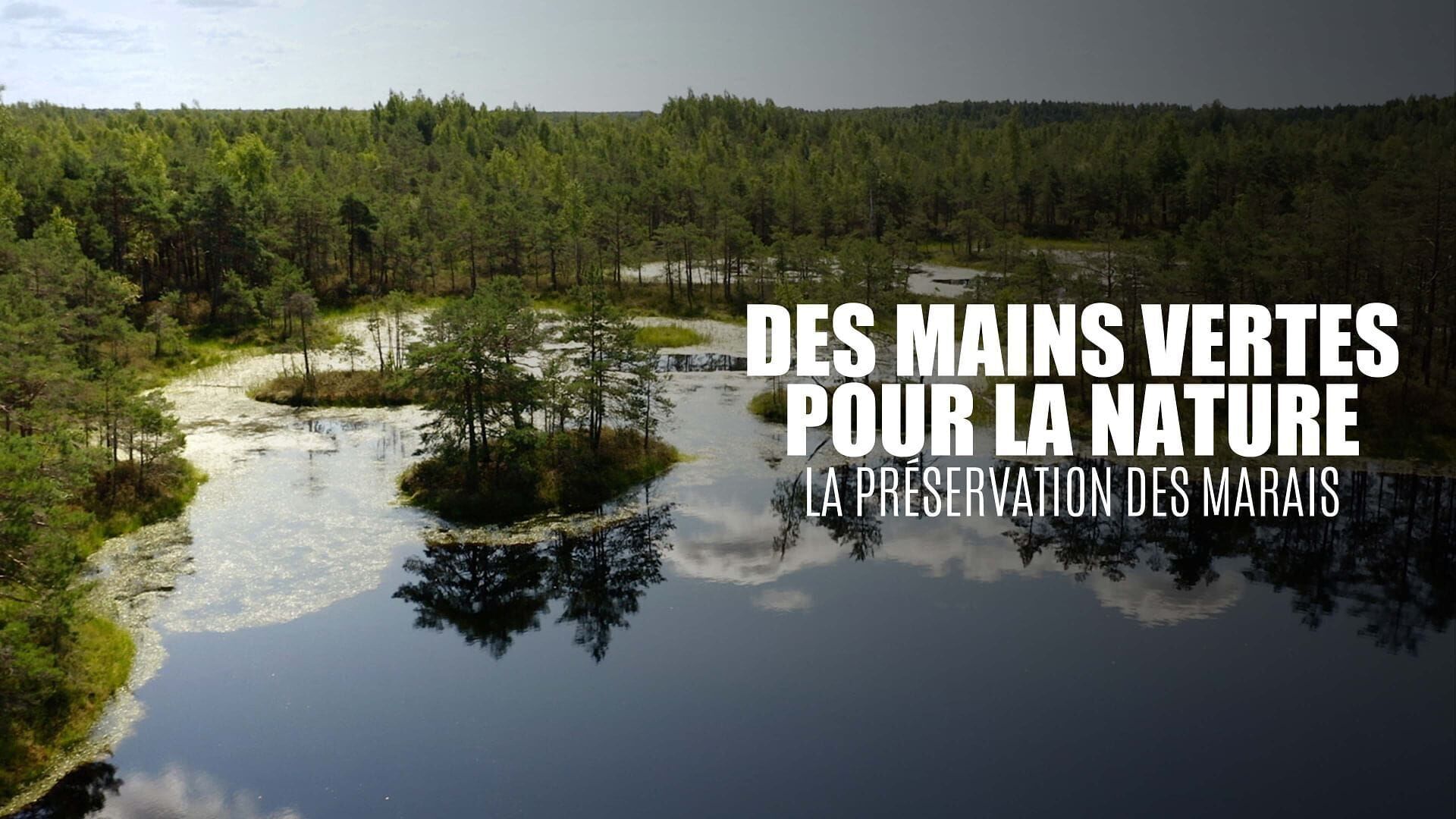Engagés pour la préservation des marais