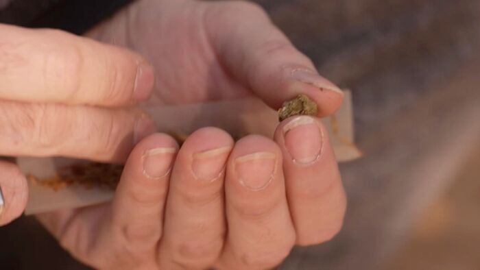 Cannabis, le paradoxe français
