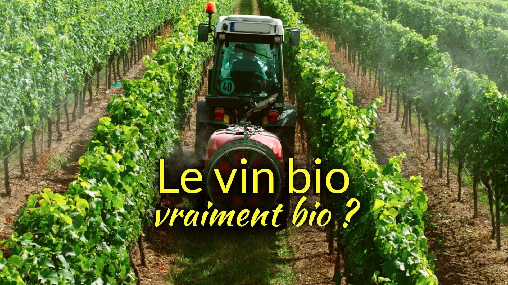 Le vin bio, vraiment bio ?