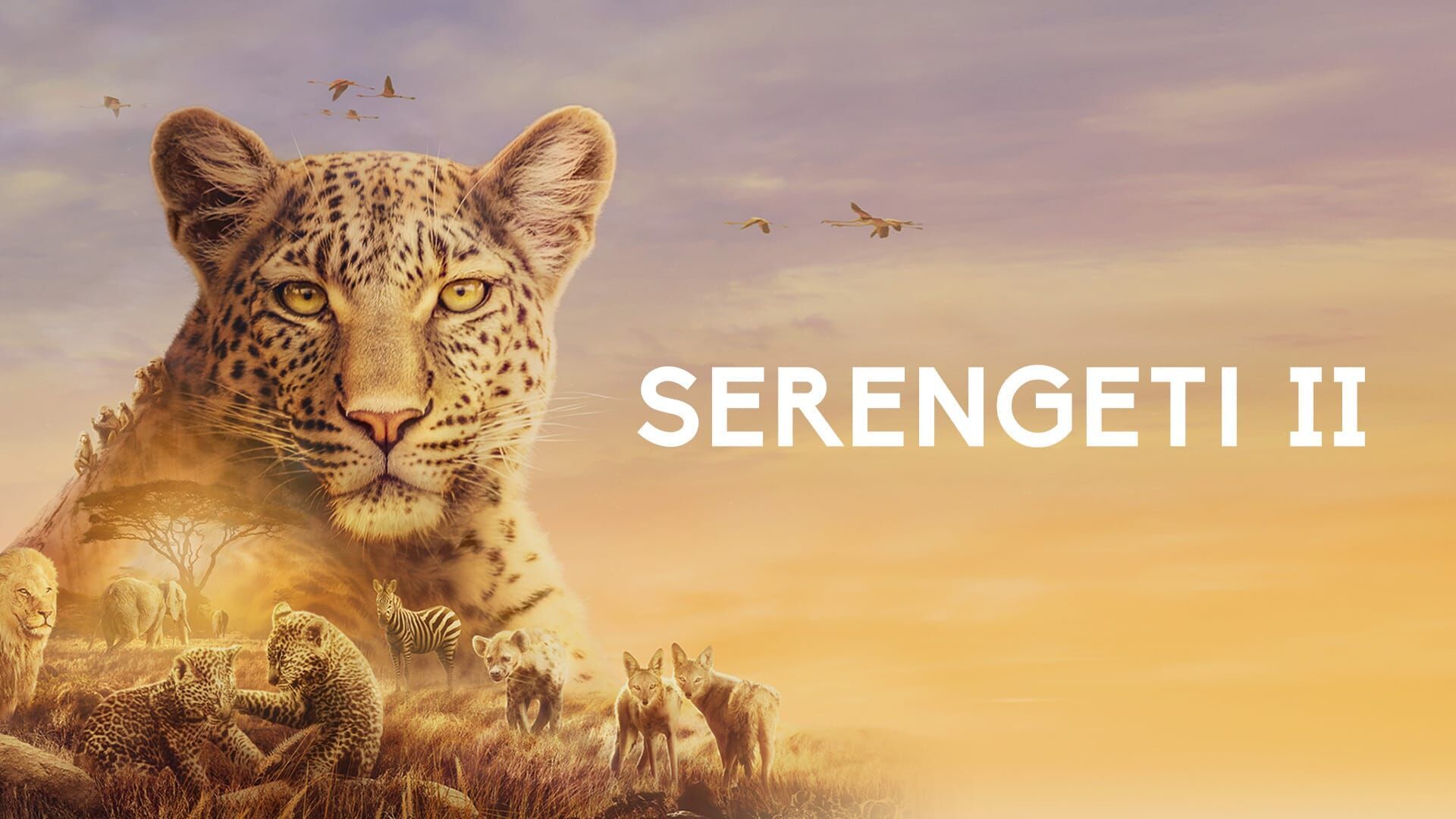 L'innocence à l'épreuve