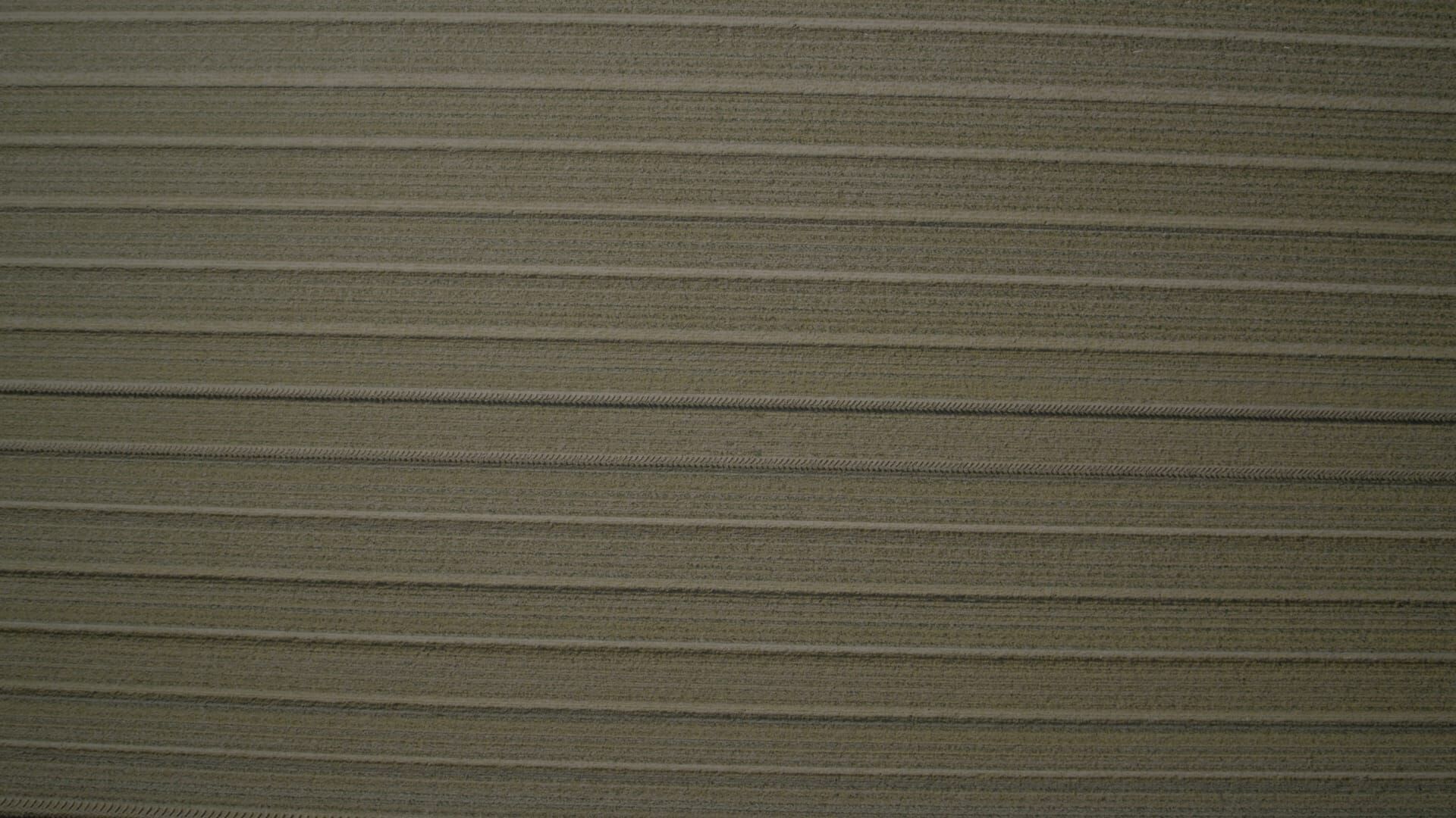 Tempête fatale à Düsseldorf