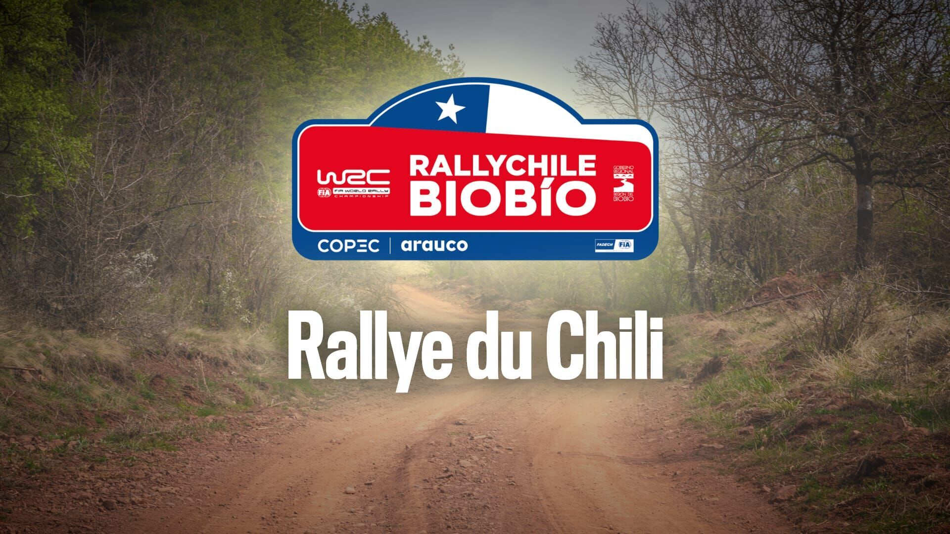Rallye : Rallye du Chili