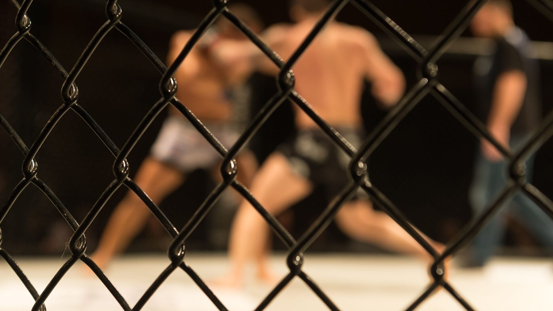 MMA : ARES Fighting Championship