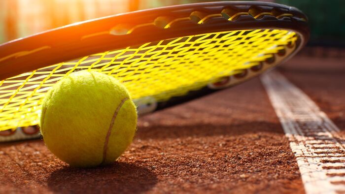 Tennis : Tournoi WTA de Hambourg