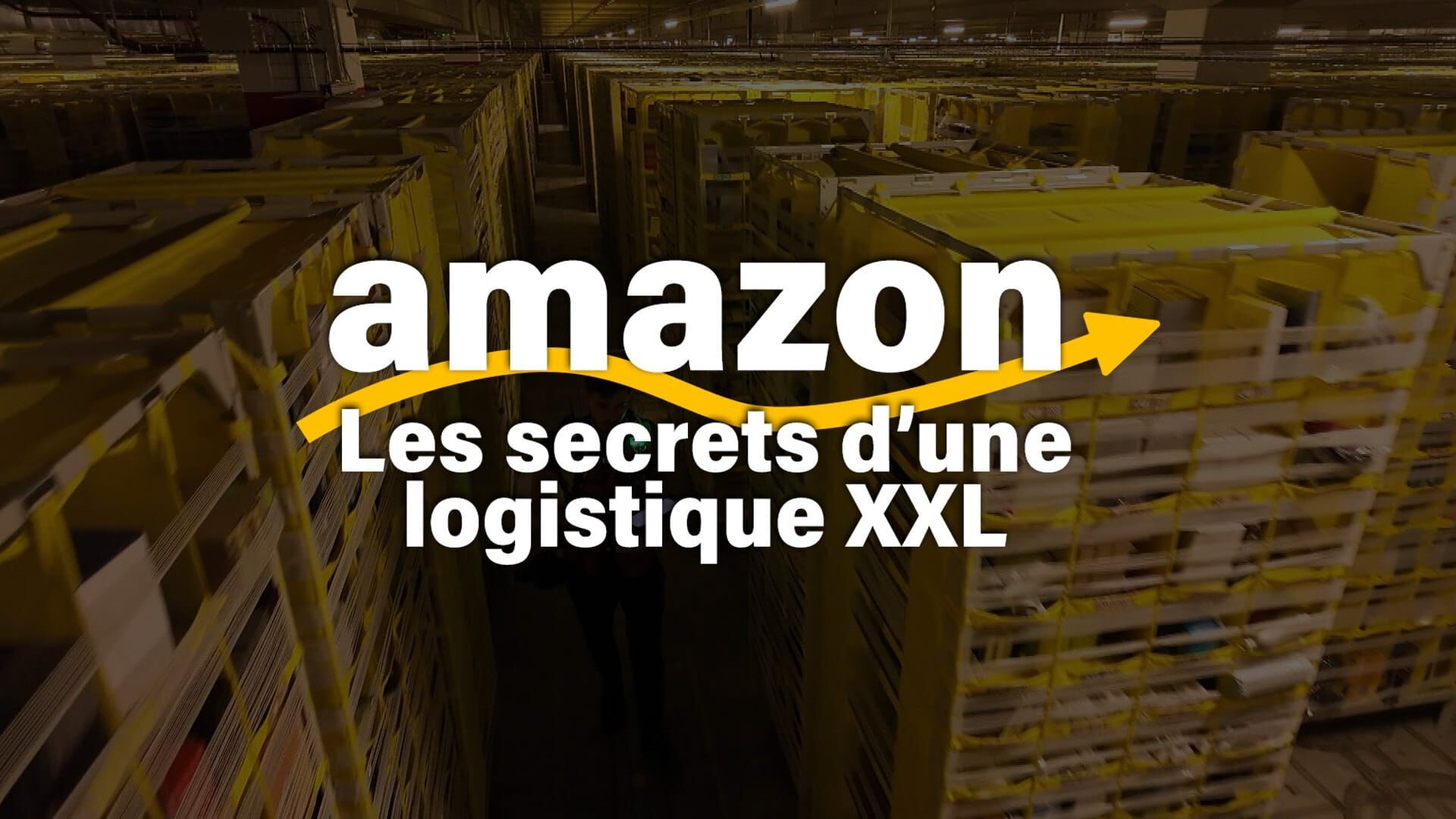 Amazon, les secrets d'une logistique XXL