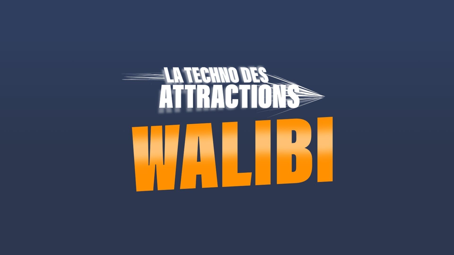 Walibi : la techno des attractions