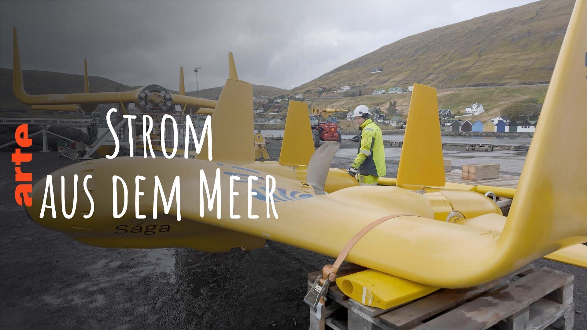 Les énergies de la mer, toujours en lice ?