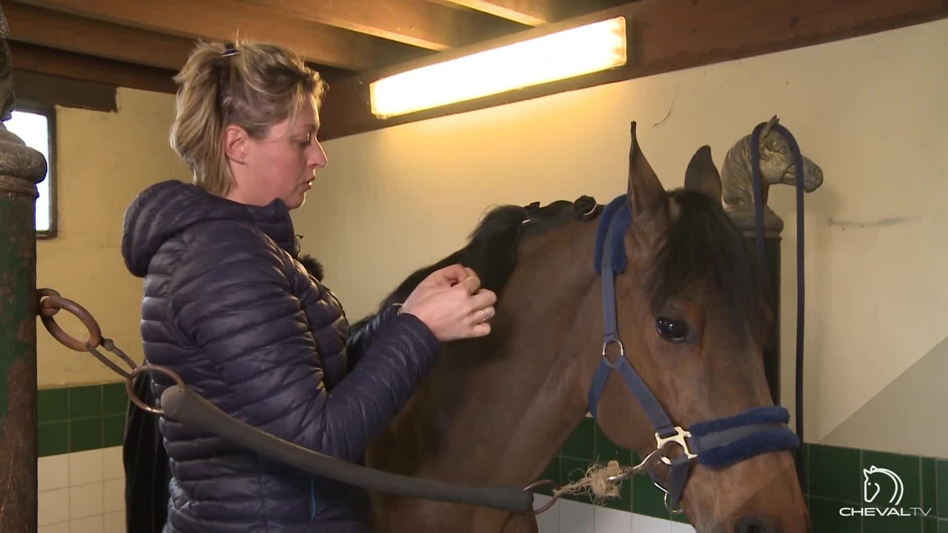 Chef d Ecurie avec Aurelie Cunat (9)