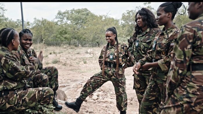 Black mambas