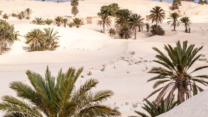 Tunisie : Douz