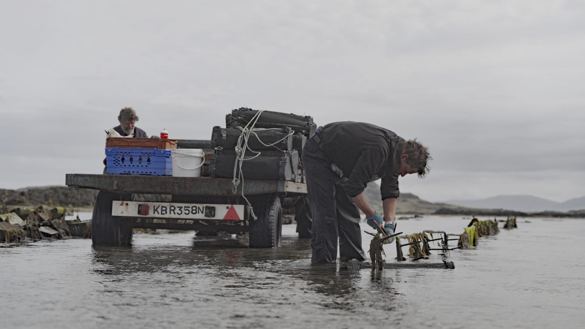 Off to Scotland - Happiness, Solitude and Oysters