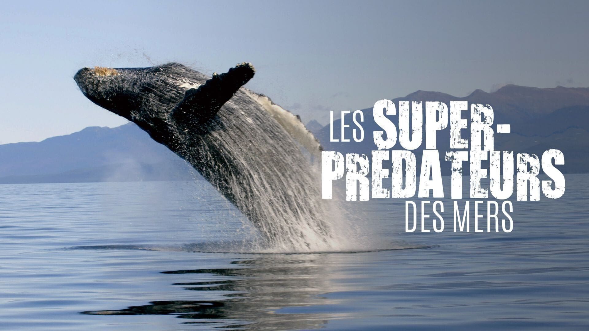 L'union fait la force