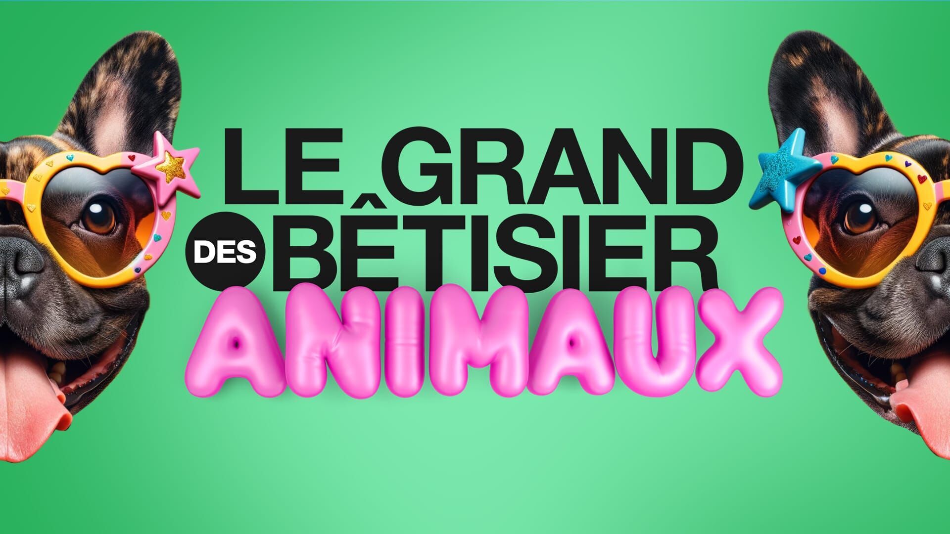Le grand bêtisier des animaux