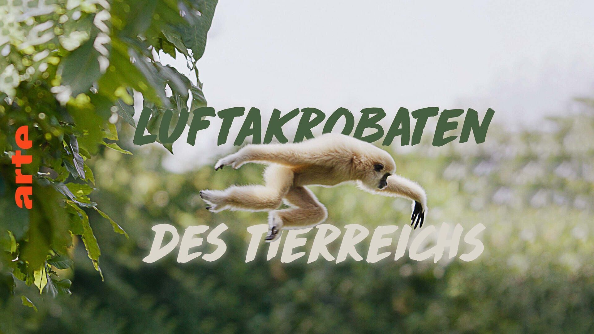 Séduction de haut vol