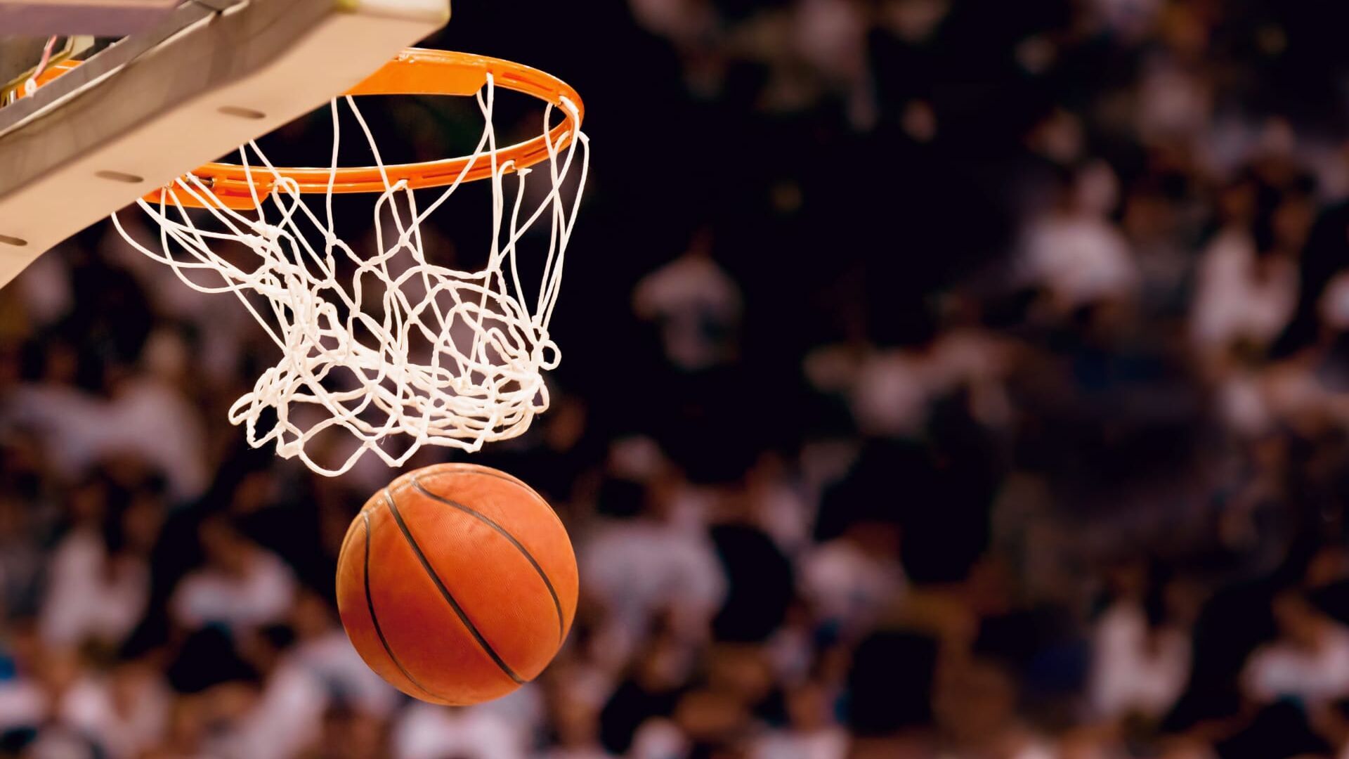 Basket-ball : NBA Summer League