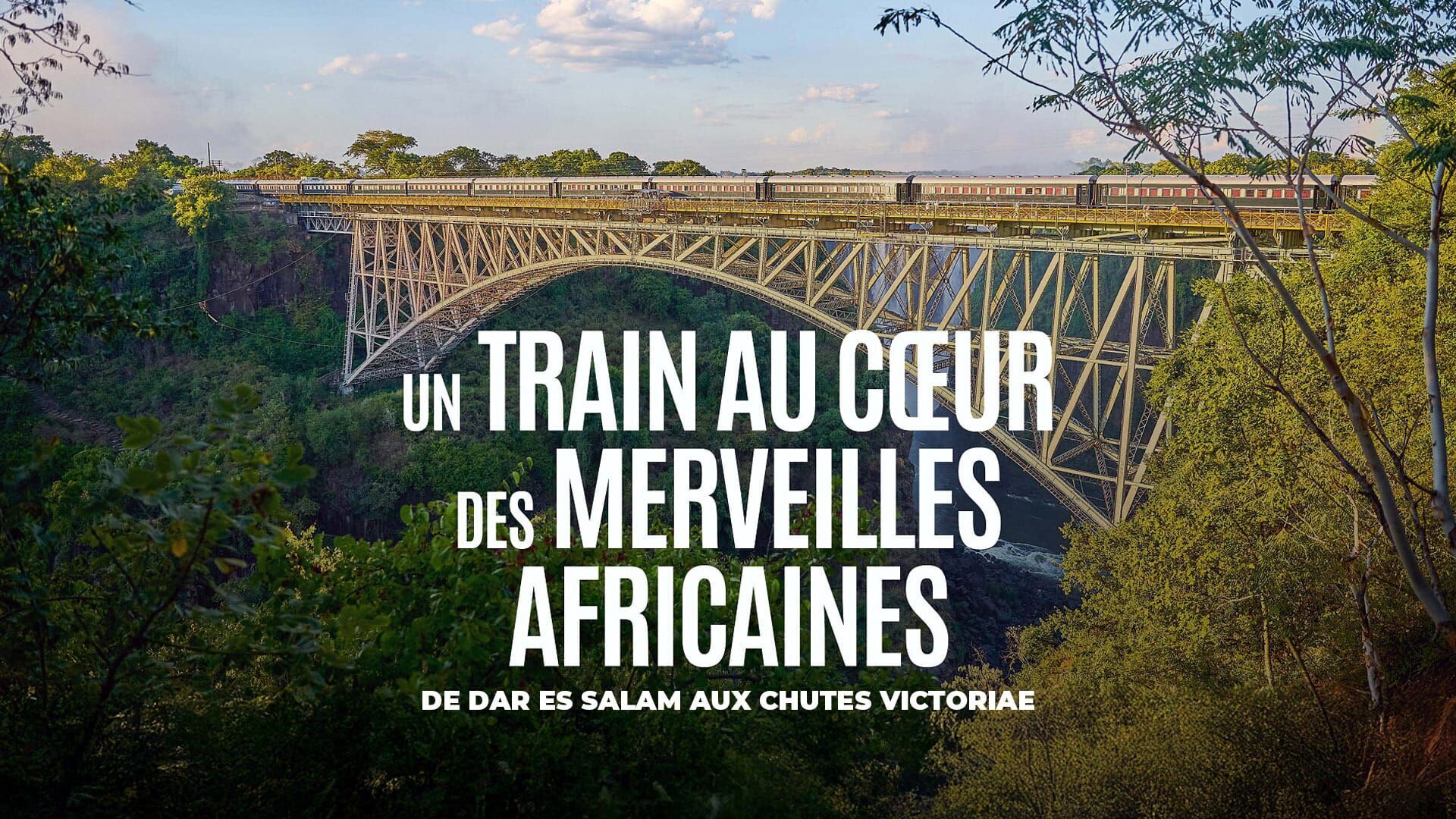 Île du Sud : du Pacifique aux Alpes du Sud