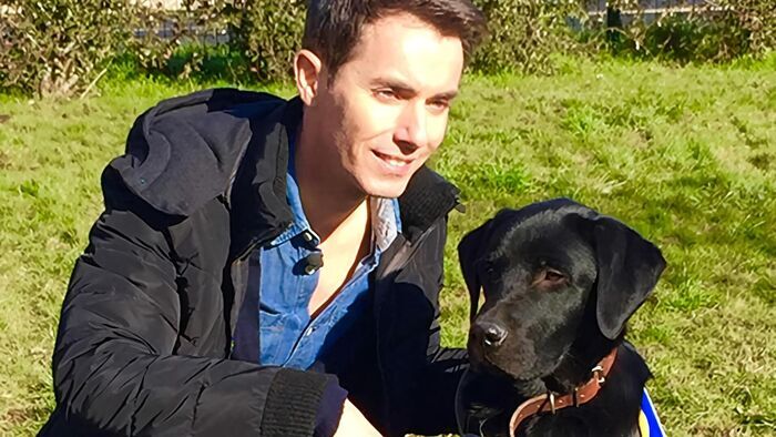 Les chiens d'aveugles
