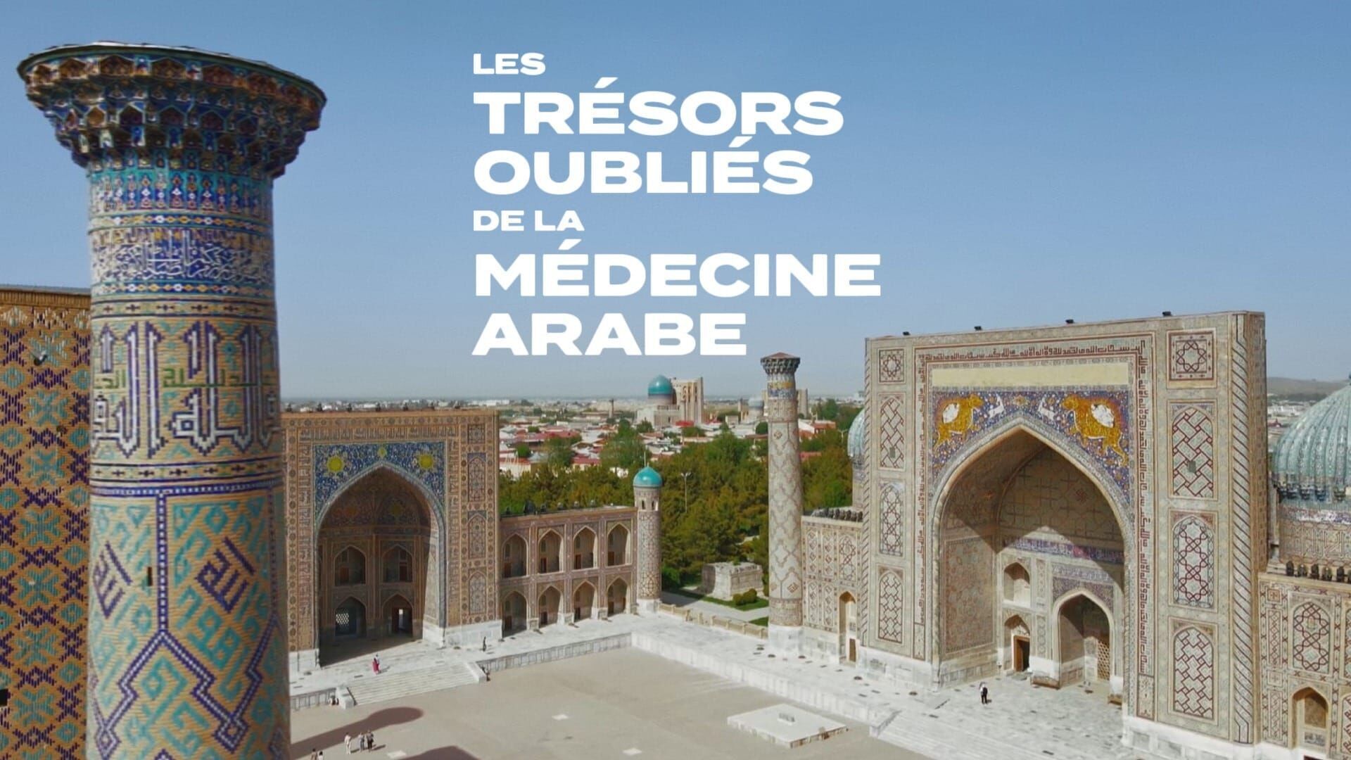 Les trésors oubliés de la médecine arabe