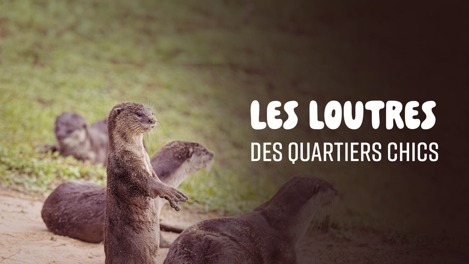 Trois c'est trop !