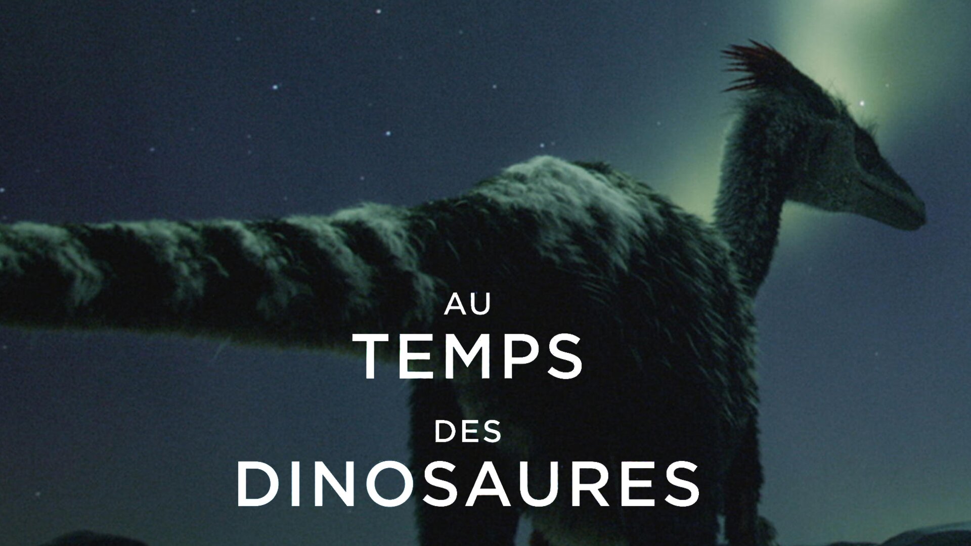 Au temps des dinosaures