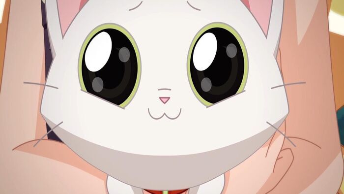 Un chat trop chou