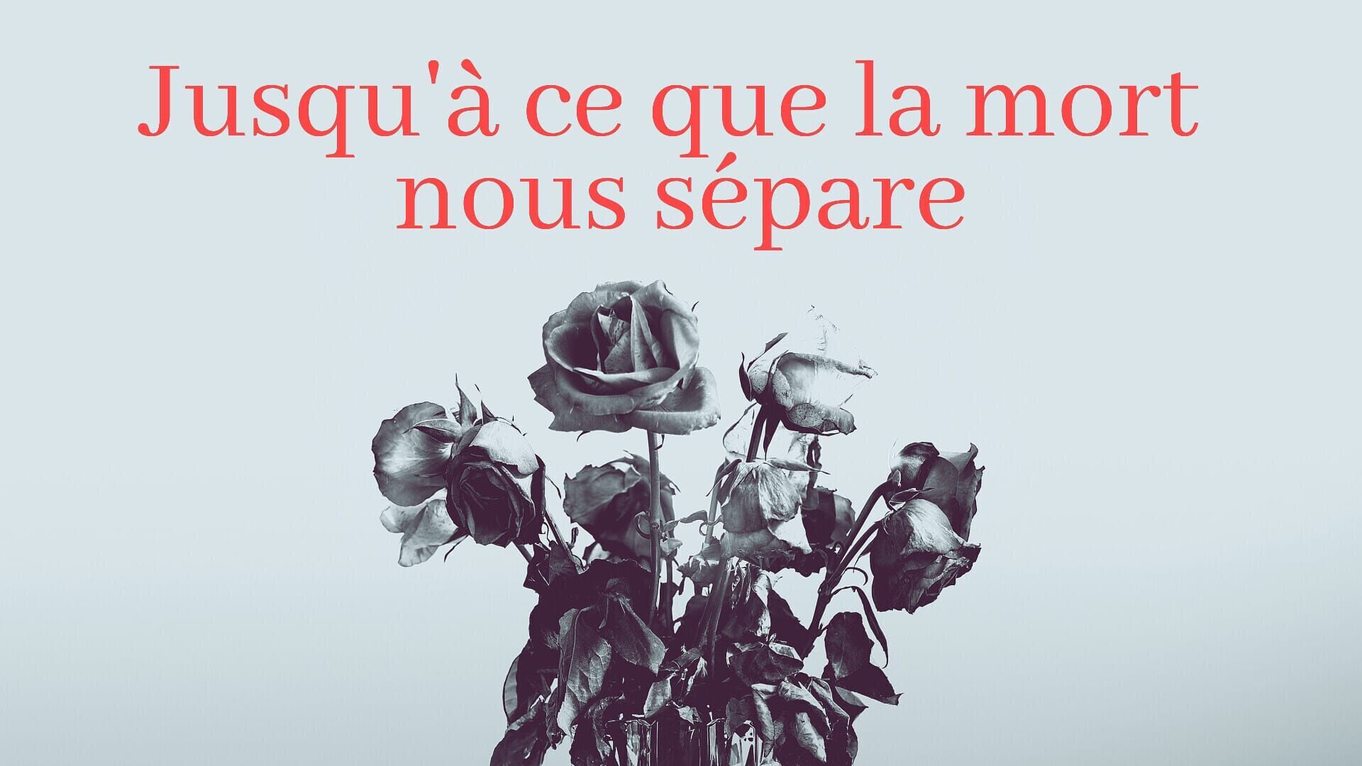 Apparences trompeuses