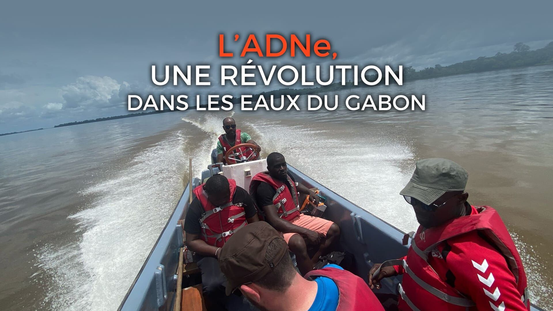 L'ADNe, une révolution dans les eaux du Gabon