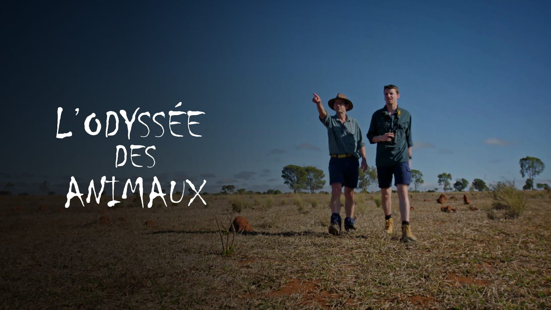 Le voyage de l'éléphant d'Afrique