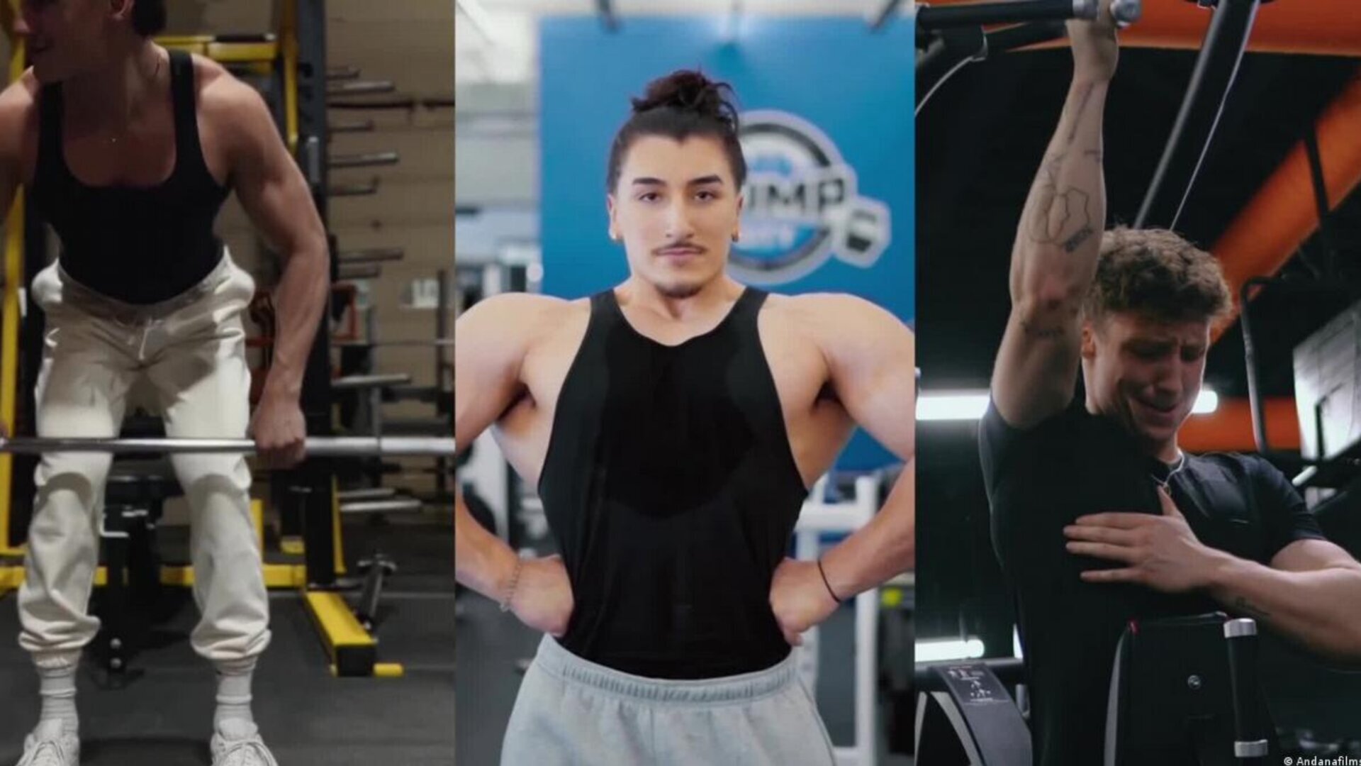 Men, Muscles, and the Pursuit of the "Perfect Body"