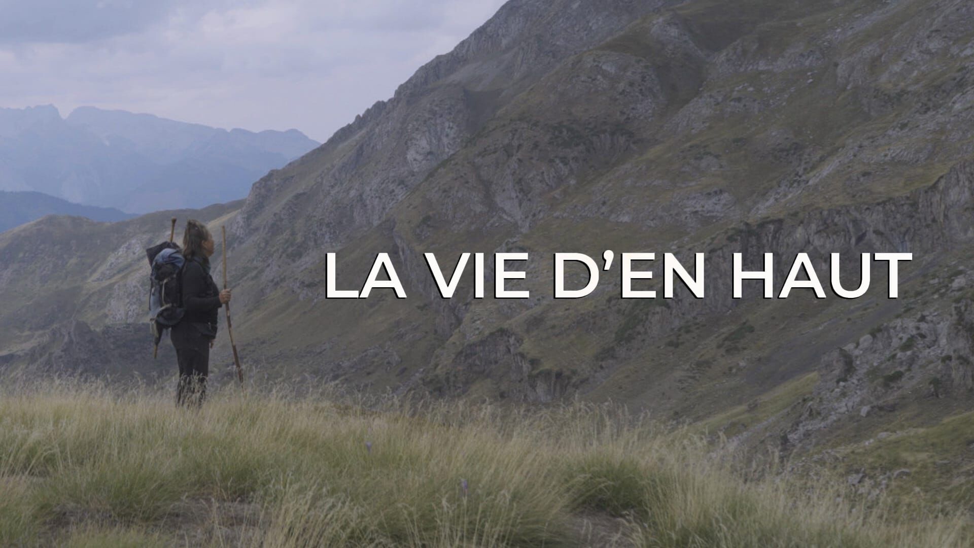 La vie d'en haut