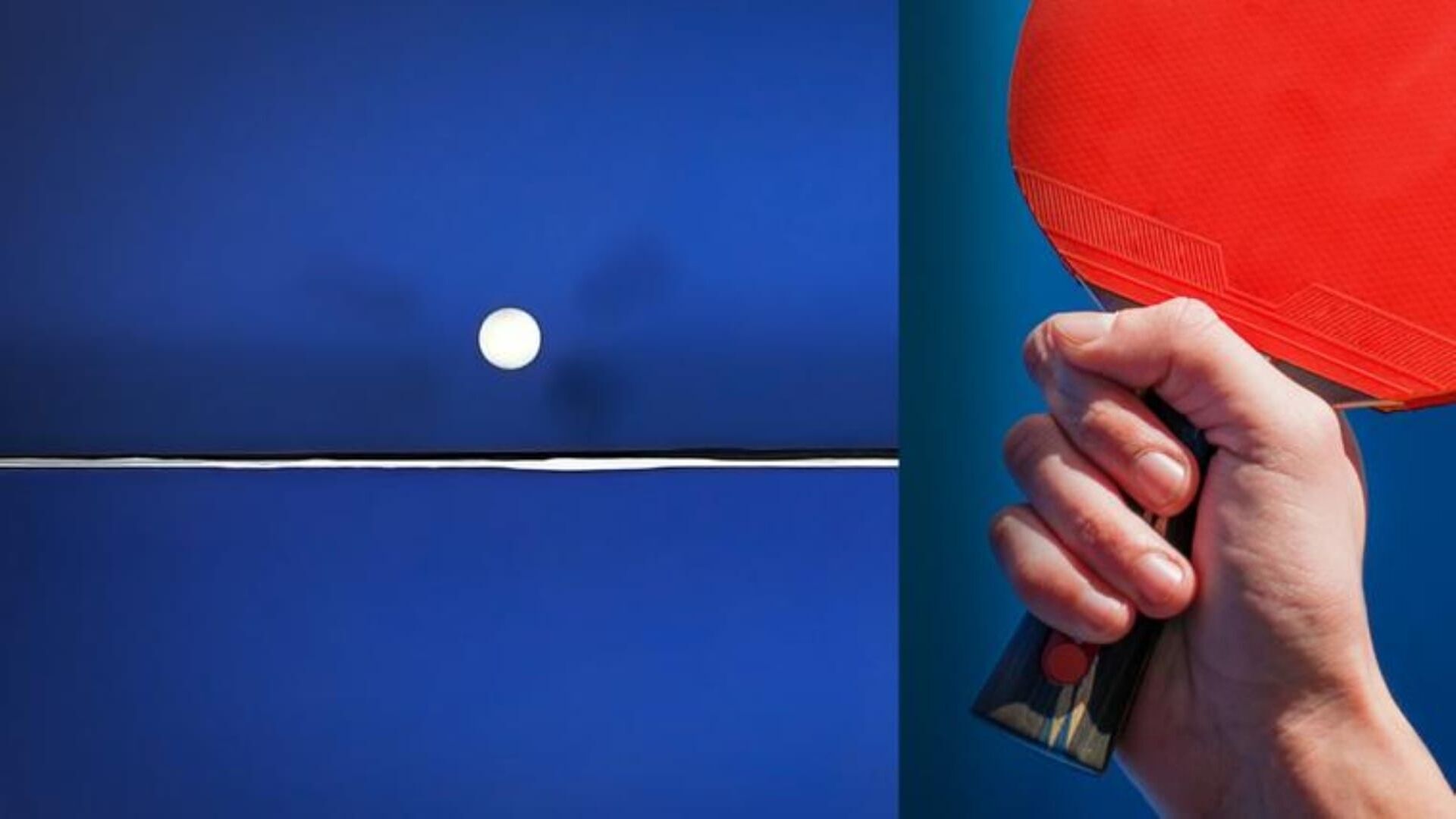 Tennis de table : WTT Star Contender de Ljubljana