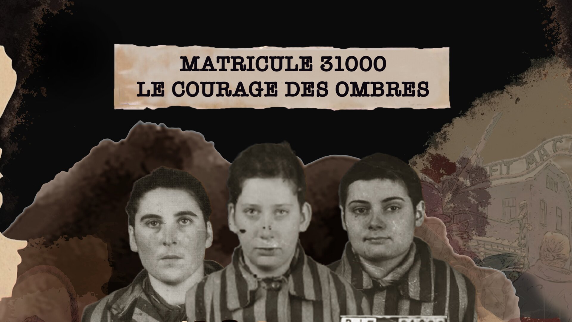 Matricule 31000, le courage des ombres