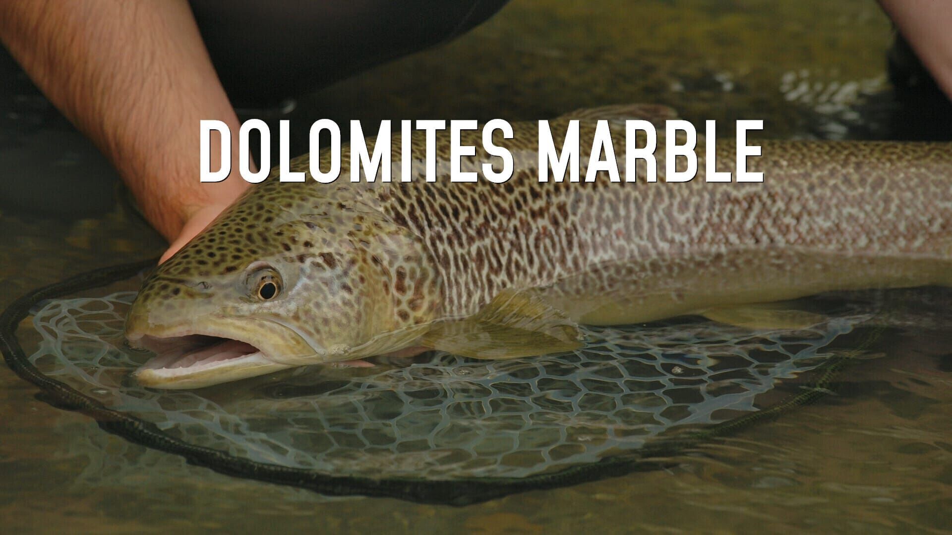 Dolomites Marble