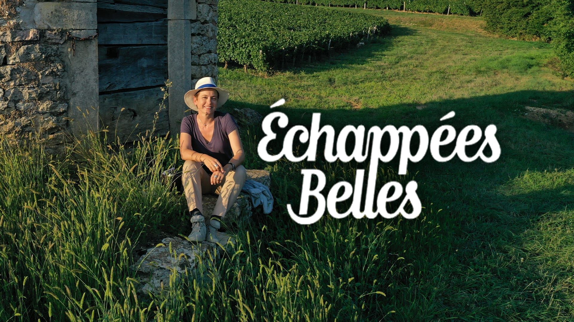 Bourgogne, terre de vignes