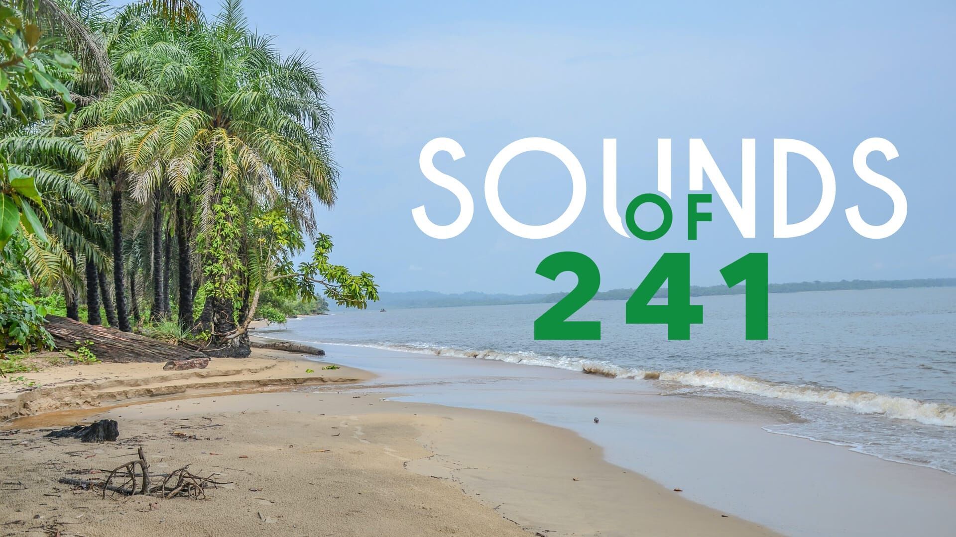 Sounds of 241