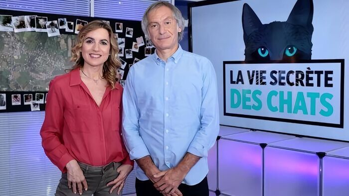 Itinéraire d'un chat trop gâté