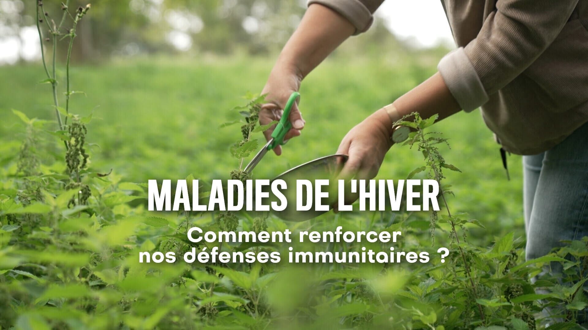 Maladies de l'hiver : comment renforcer nos défenses immunitaires ?