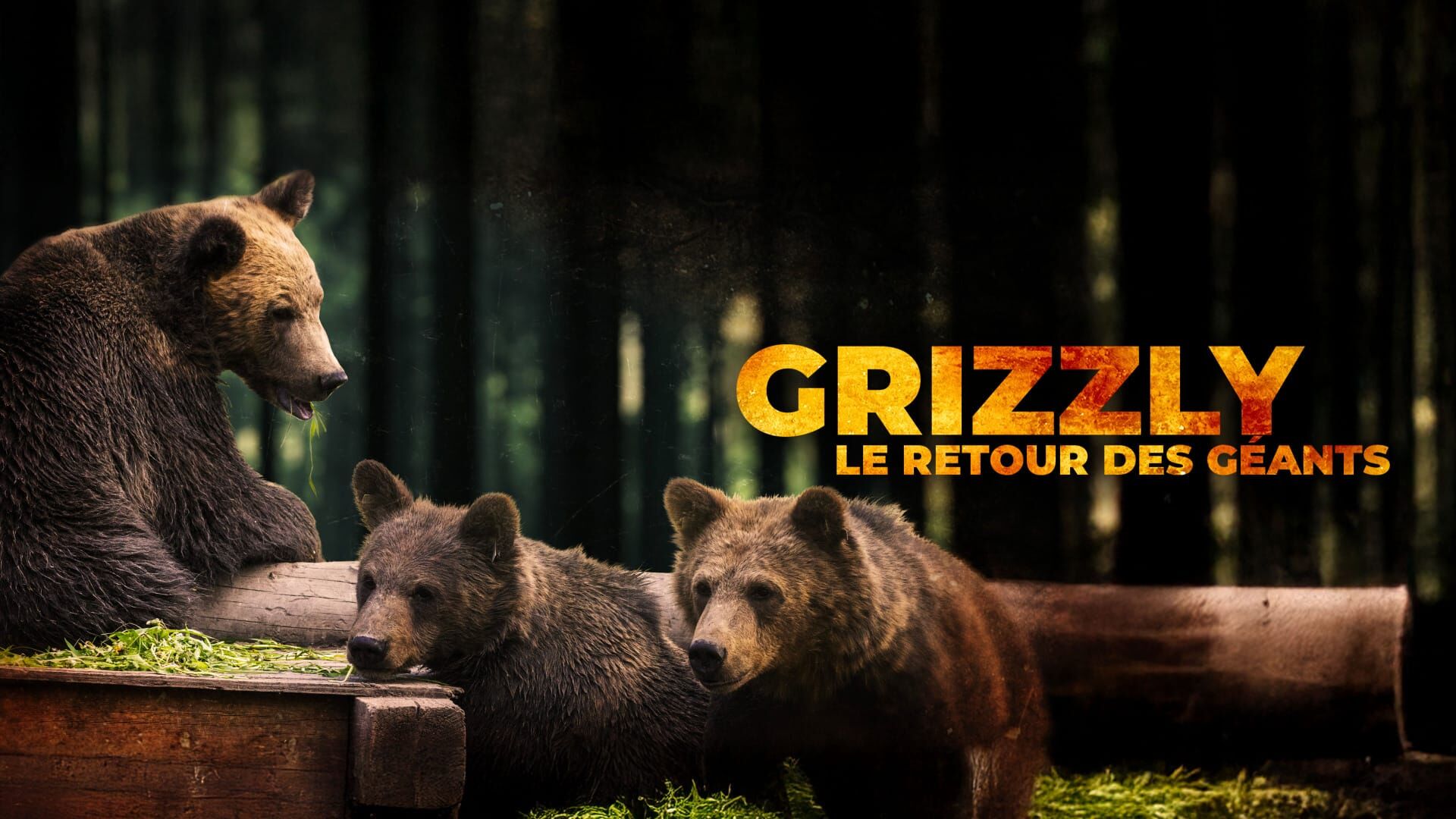 Grizzly, le retour des géants