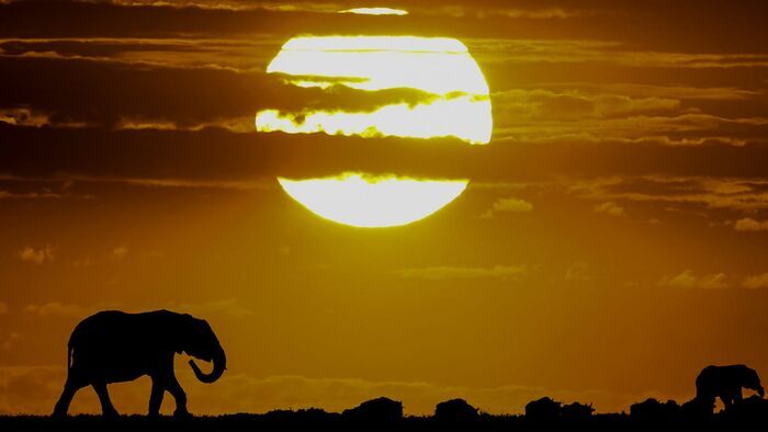 L'Australie