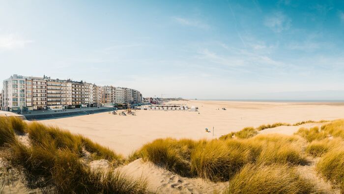 Un été de folie sur la côte belge