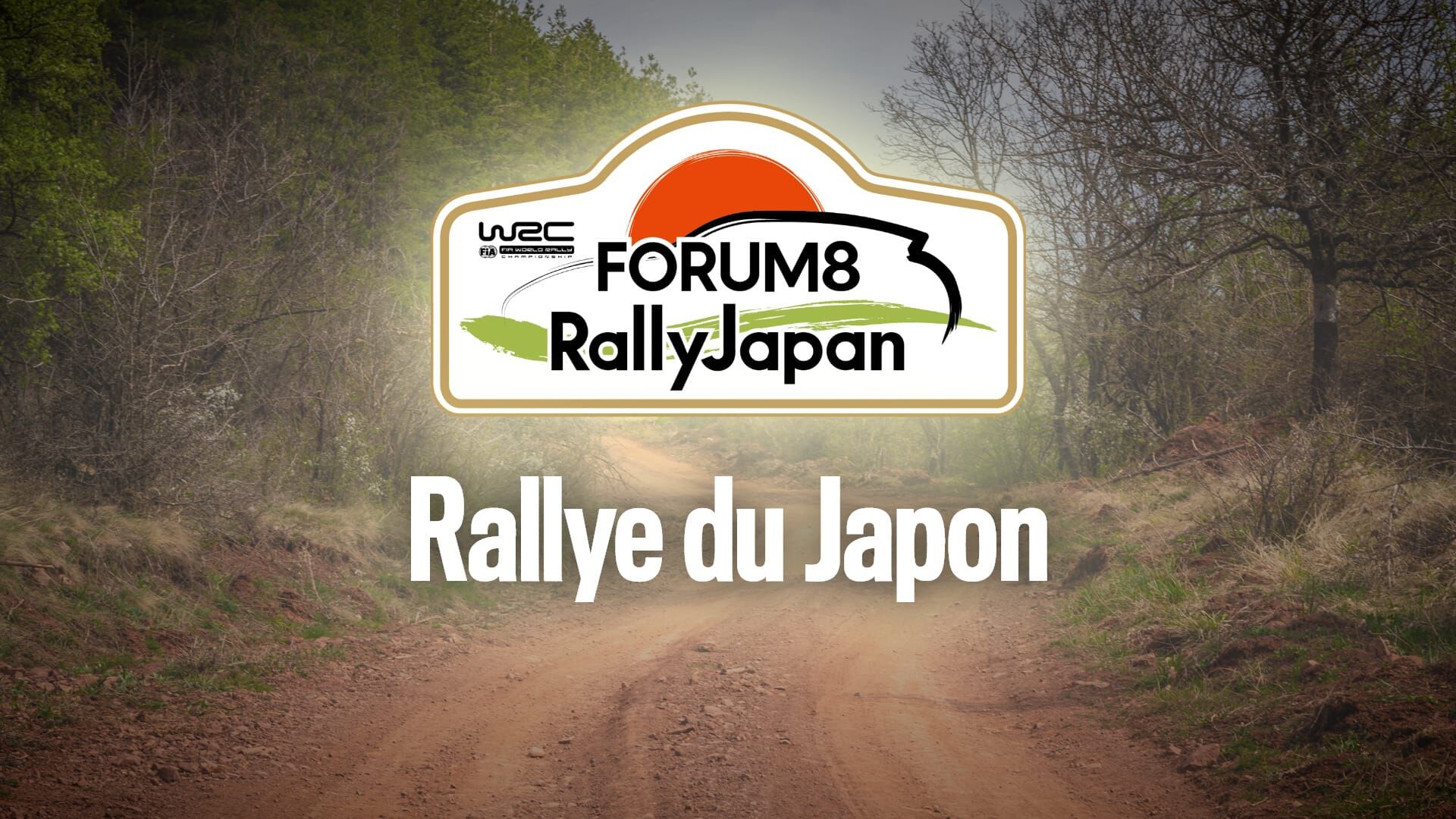 Rallye : WRC, Rallye du Japon