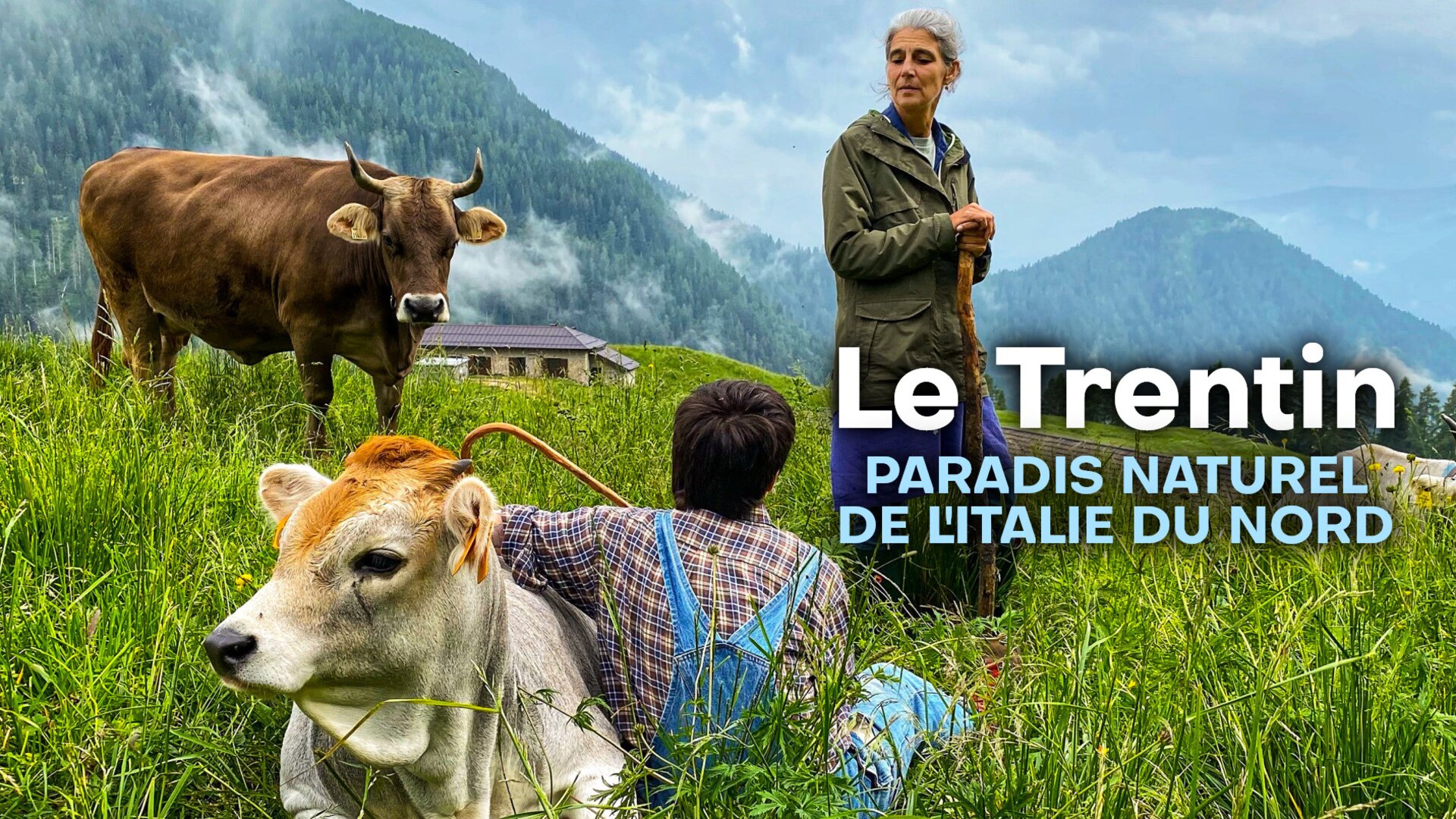 Le Trentin : Paradis naturel de l'Italie du Nord