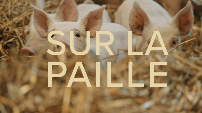 Sur la paille