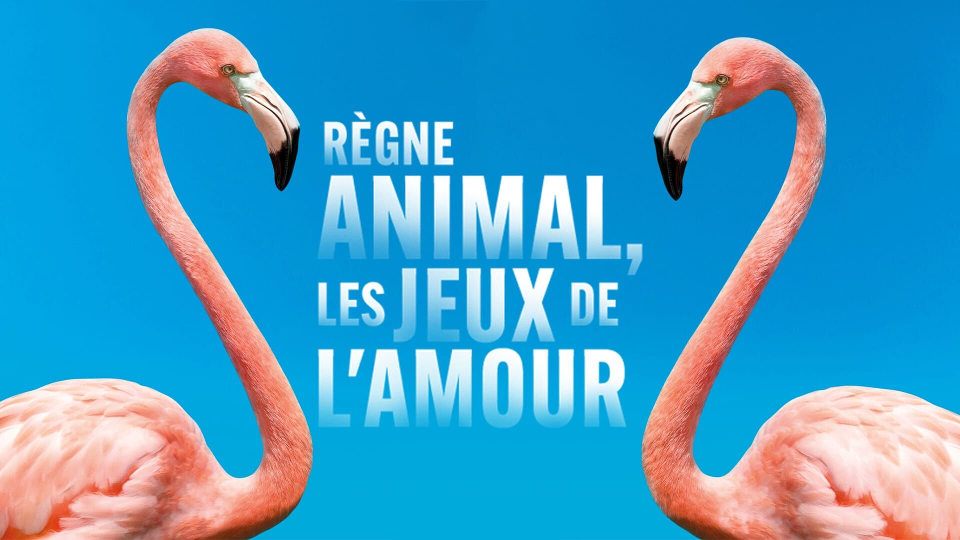 Aux yeux de tous