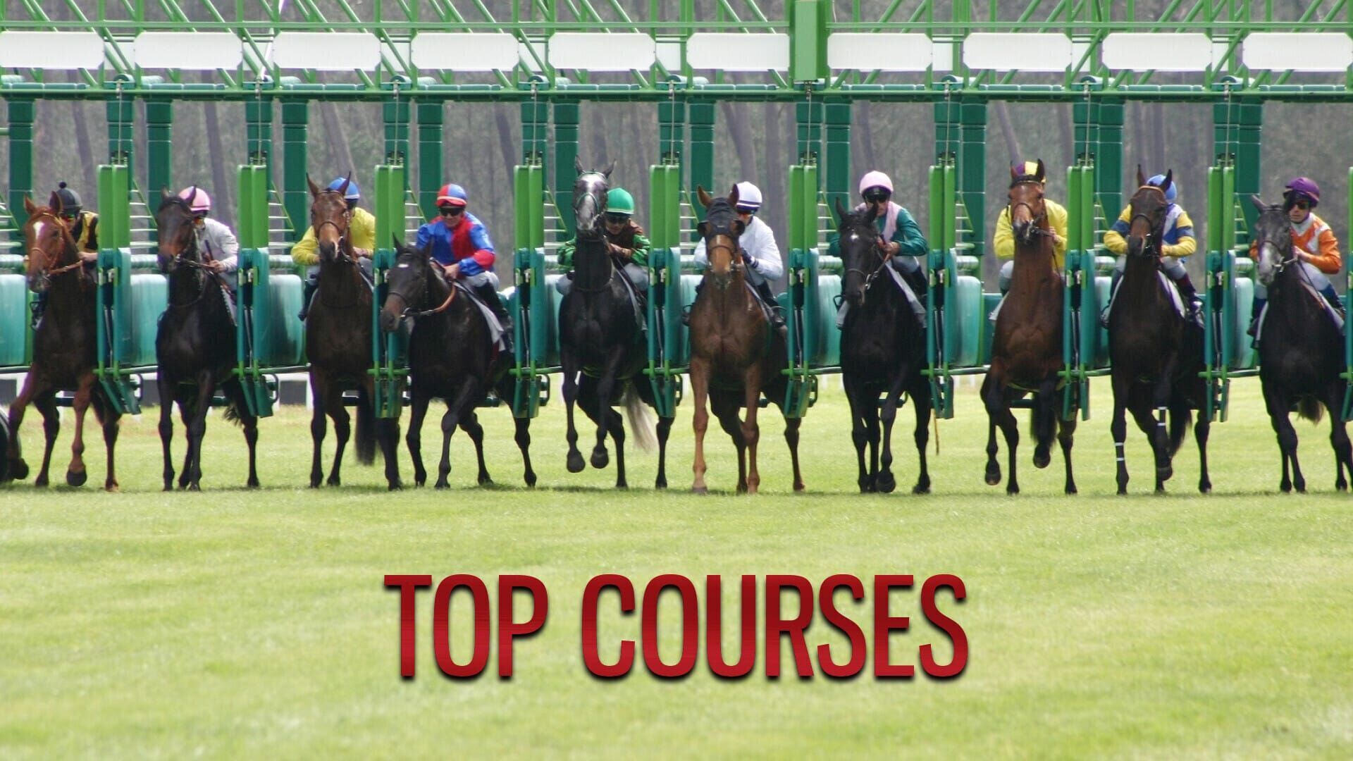 Top courses